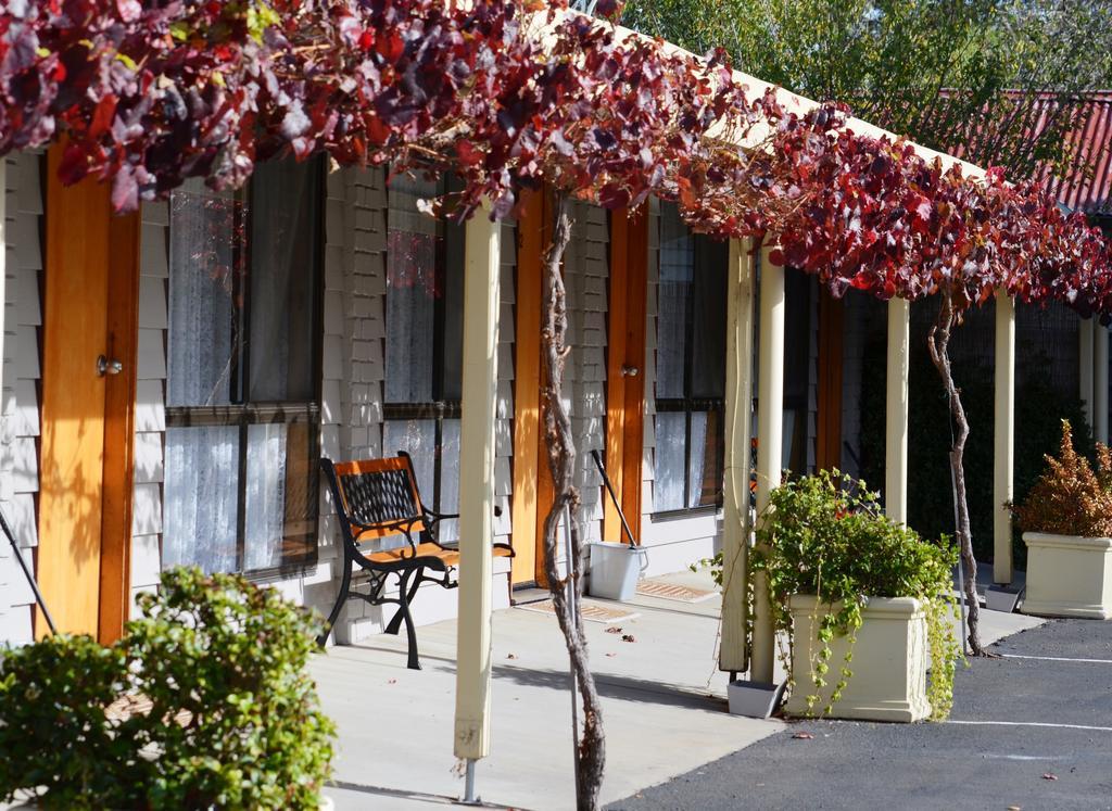 Country Roads Motor Inn Naracoorte Extérieur photo