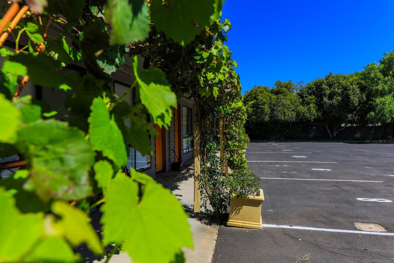 Country Roads Motor Inn Naracoorte Extérieur photo
